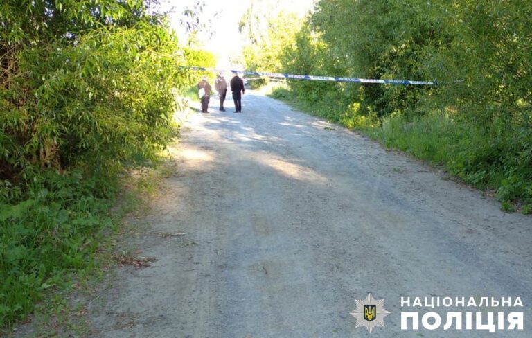 Вчинив смертельну ДТП та втік: звягельські поліцейські затримали нетверезого водія