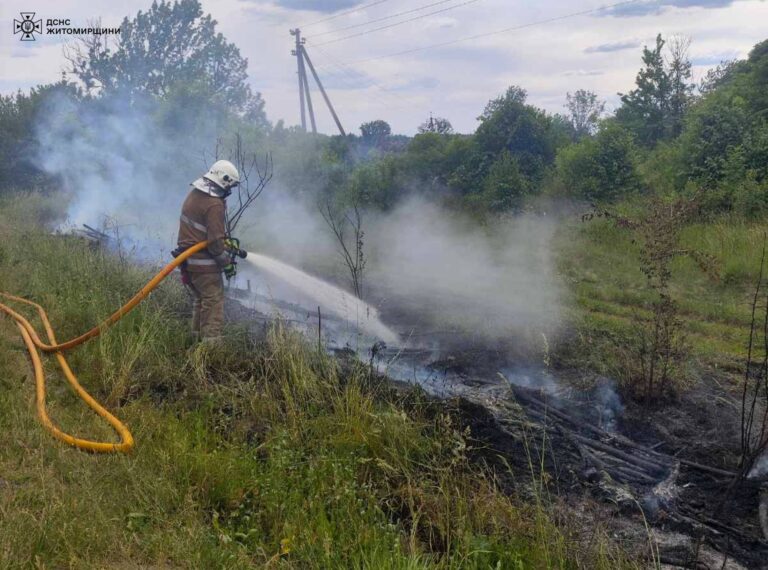 Минулої доби рятувальники ліквідовували 14 пожеж в екосистемах