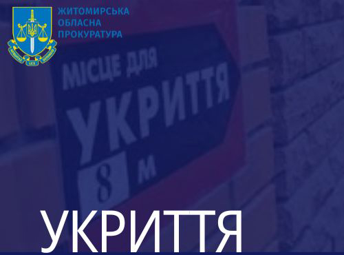 Заподіяння збитків на 300 тис грн під час ремонту шкільних укриттів – на Житомирщині посадовицю підозрюють у службовій недбалості