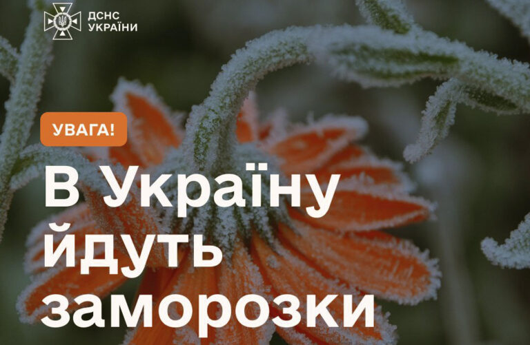 Синоптики попереджають про заморозки