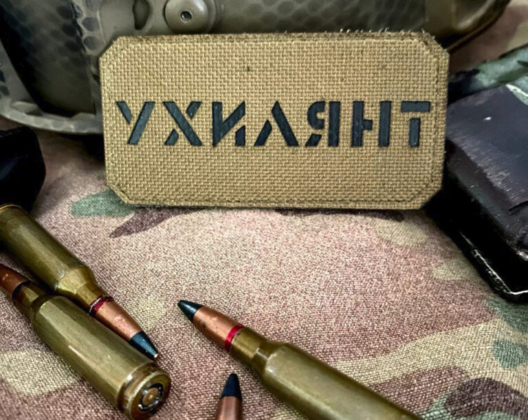 На Житомирщині ТЦК розшукують 8289 ухилянтів, а знайшли тільки 2452