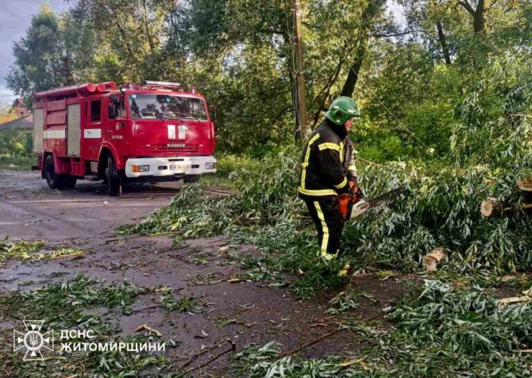 За добу рятувальники 5 разів залучалися до прибирання повалених негодою дерев