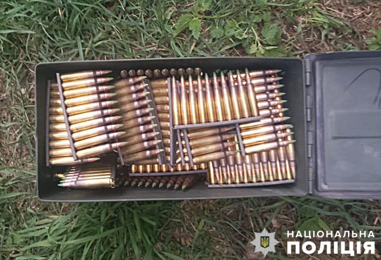 На Звягельщині поліцейські вилучили понад 500 набоїв у сімейного дебошира