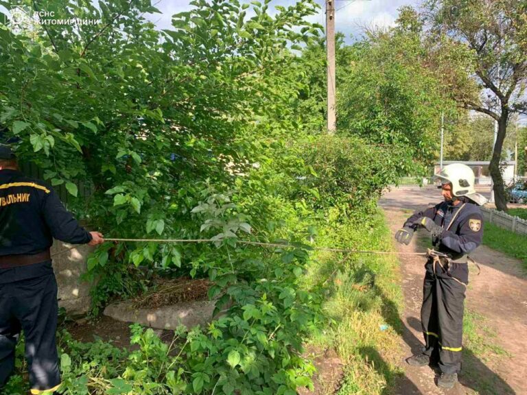 За минулу добу рятувальники області 5 разів надавали допомогу населенню