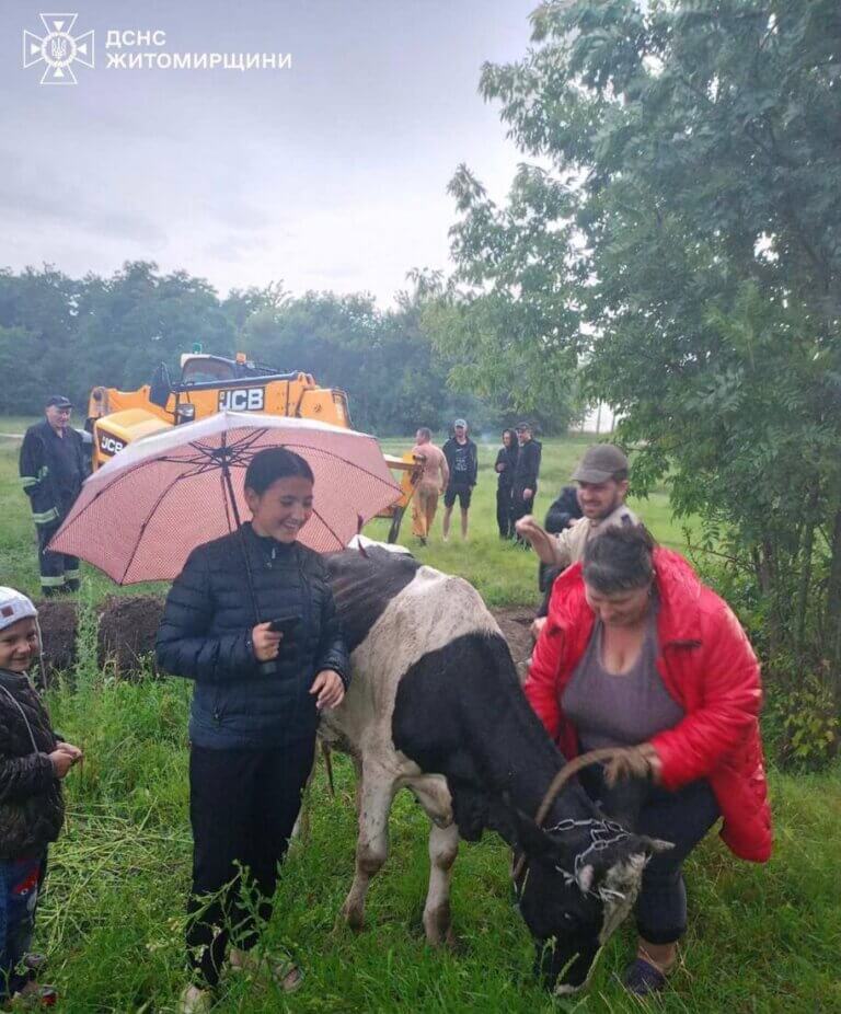 Рятувальники допомогли дістати корову з водойми