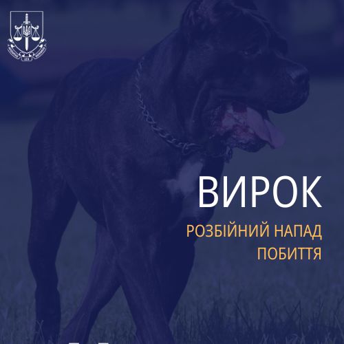 У Коростені на 8 років ув’язнили чоловіка за розбійний напад, побиття та цькування містян собакою небезпечної породи