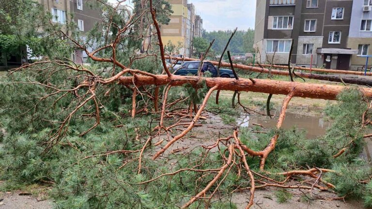 На Малинщині сьогоднішня гроза та сильний вітер спричинили чимало біди