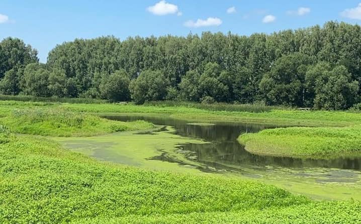 Пересохли криниці і впав рівень води в річці: пошкоджено гідроспоруду в Баранівській громаді на Житомирщині