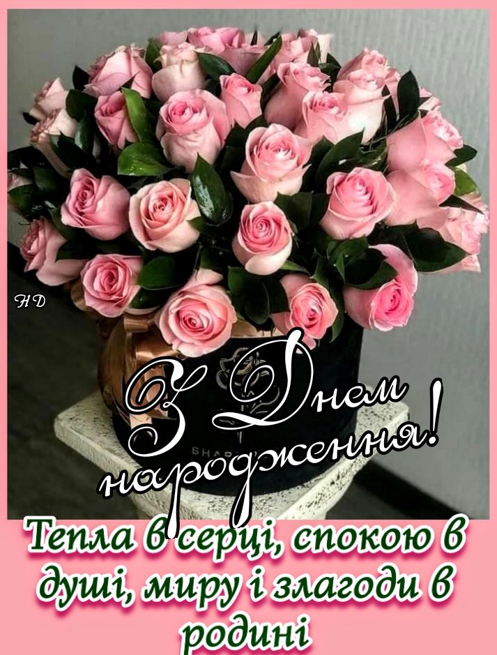 Сьогодні святкує свій День народження Президентка громадської організації «Асоціація з художньої гімнастики в Житомирській області» Олена Орлова