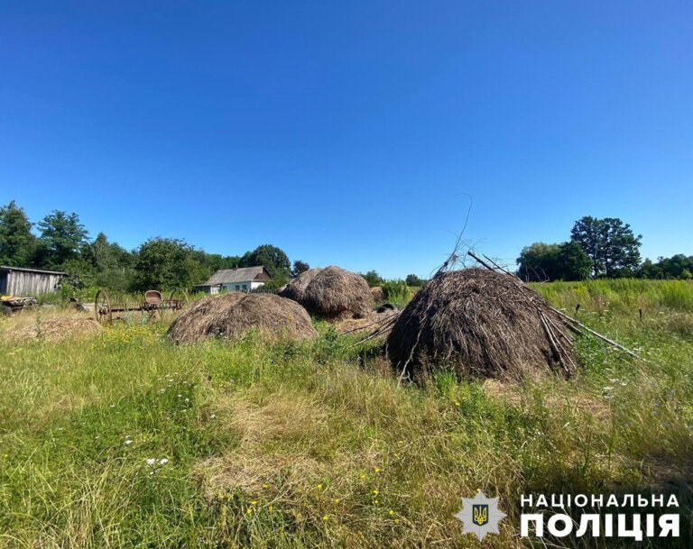 Убив сусідку: у Житомирському районі поліцейські затримали підозрюваного