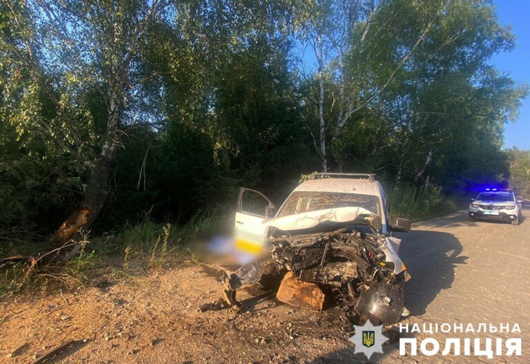 Поліція Житомирщини закликає водіїв бути вкрай обережними під час руху у спекотні дні