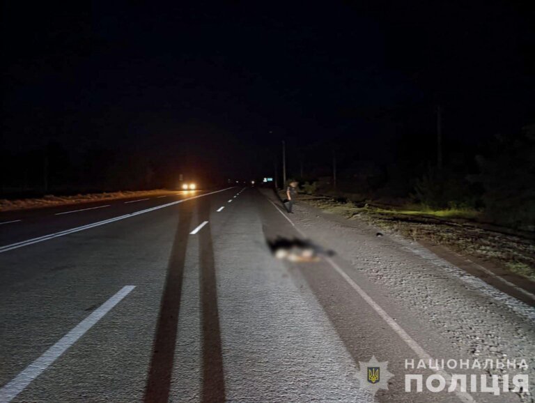 Збили військового та залишили його помирати на узбіччі: жах із Запорізької області