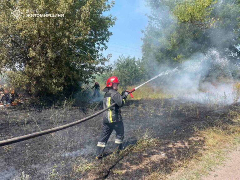 Упродовж вихідних по області ліквідовано 16 пожеж сухої трави на площі понад 5 га
