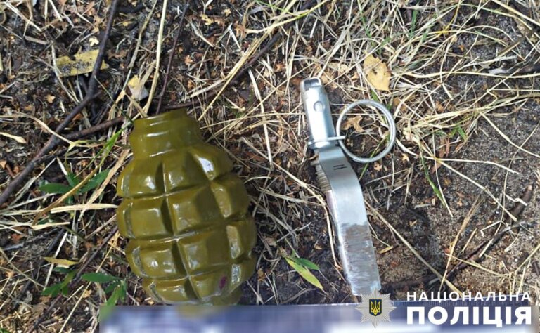 Хорошівські поліцейські вилучили гранату у нетверезого водія