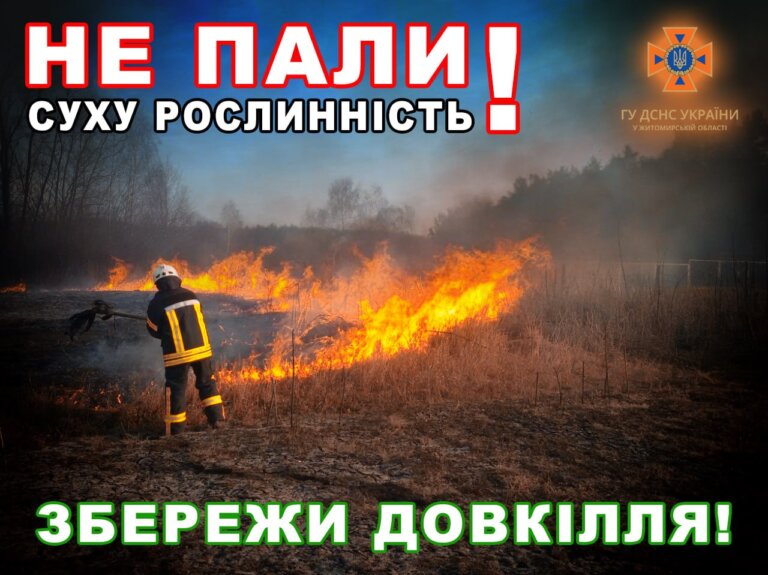 Цього року на Житомирщині ліквідовано 433 пожежі сухої трави на площі понад 300 га