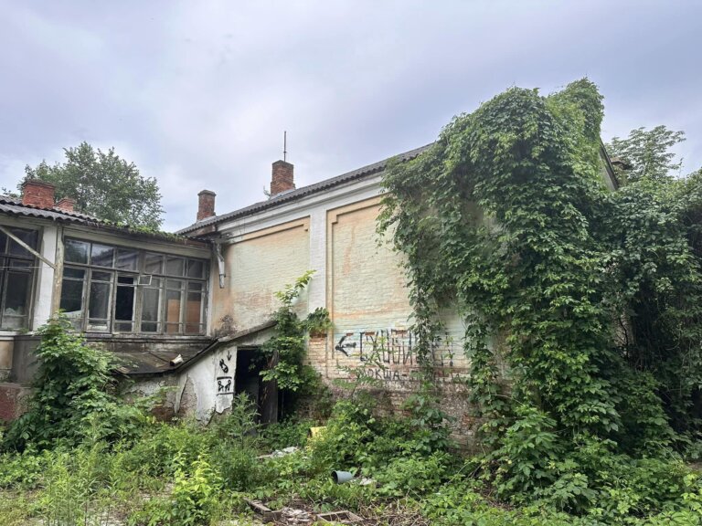 Парк, особняк та бомжі