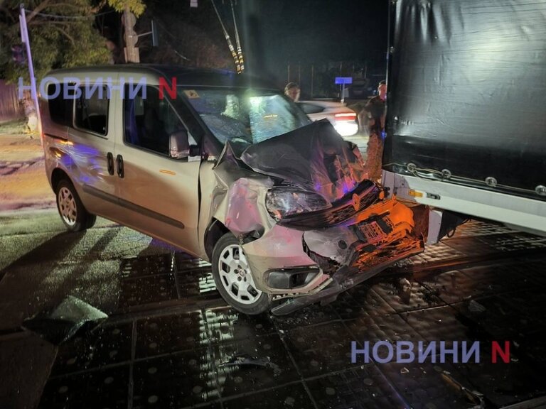 У Миколаєві в ДТП потрапила вантажівка, яка везла до Одеси 2.5 тонни заморожених, мертвих собак