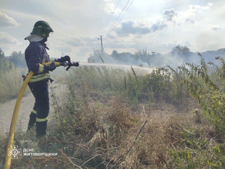 Упродовж 2 серпня рятувальники Житомирщини ліквідували 13 пожеж