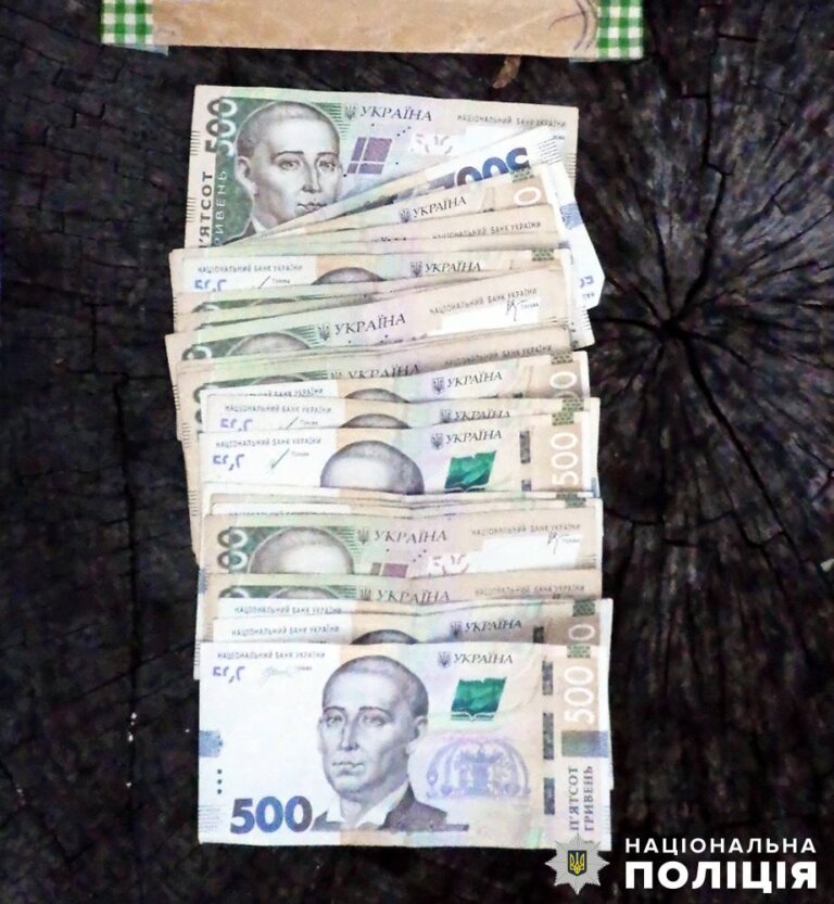 Звягельські поліцейські розкрили дві крадіжки