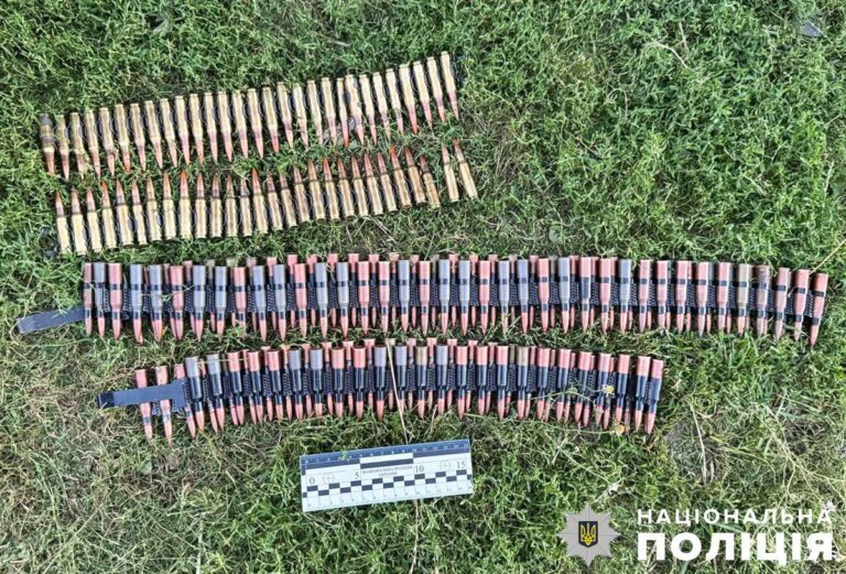 Поліція вилучила боєприпаси у жителя Новогуйвинської громади