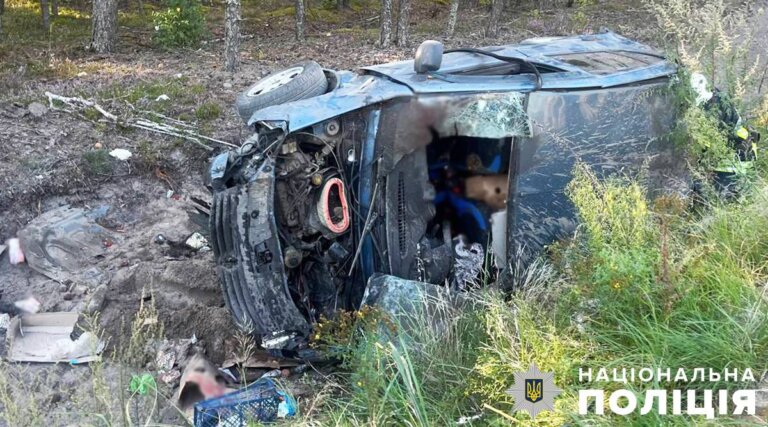 Поліцейські розслідують обставини смертельної ДТП в Овруцькій громаді