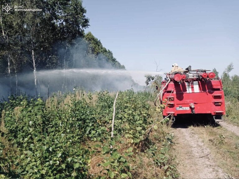 За добу ліквідовано 29 загорянь сухої трави. Внаслідок пожеж вогнем пройдено понад 29 га території