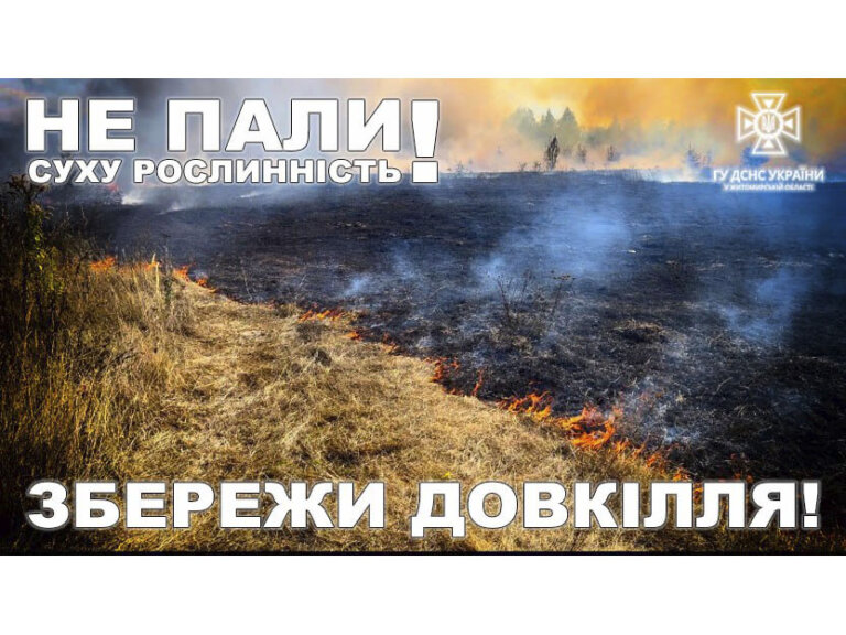 485 загорянь сухої трави загальною площею майже 333 га загасили рятувальники від початку року на Житомирщині
