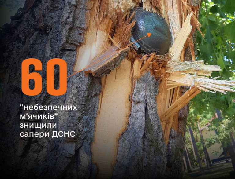 60 «небезпечних м‘ячиків» знищили сапери ДСНС