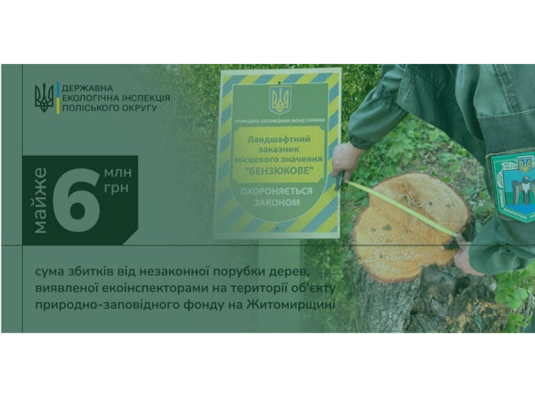 На території об’єкта природно-заповідного фонду в Коростенському районі було виявлено незаконну порубку дерев на суму майже 6 мільйонів гривень