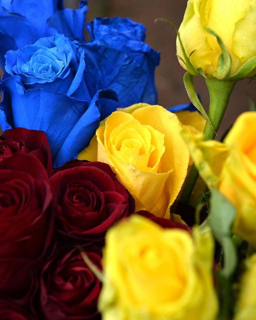 На щиті повернувся Герой. Походня Віталій Валерійович