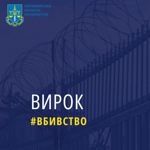 Жителя Малина засудили до 12 років позбавлення волі за вбивство сусіда