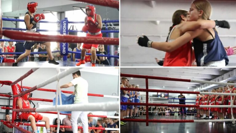 У Житомирі відбувся чемпіонат області з боксу