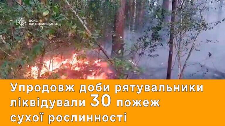 Надійшло повідомлення про займання сухої трави у с. Тетерівка