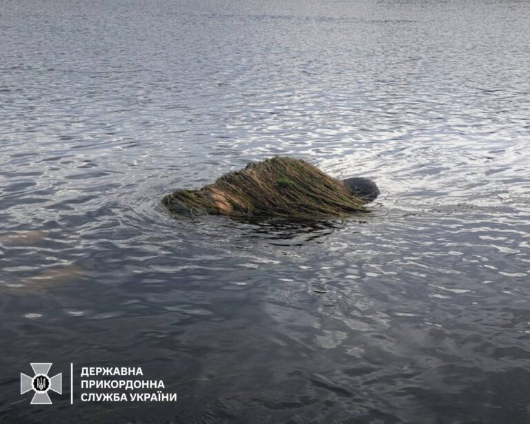 Тіло загиблого знайшли у Дністрі, обвитого водоростями