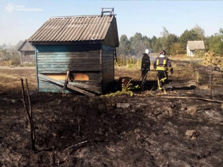 Рятувальники бʼють на сполох – за добу виникло 39 пожеж в екосистемах!