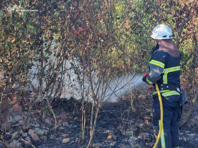 Понад півсотні пожеж за добу в екосистемах і стільки же випалених вогнем територій Житомирщини!