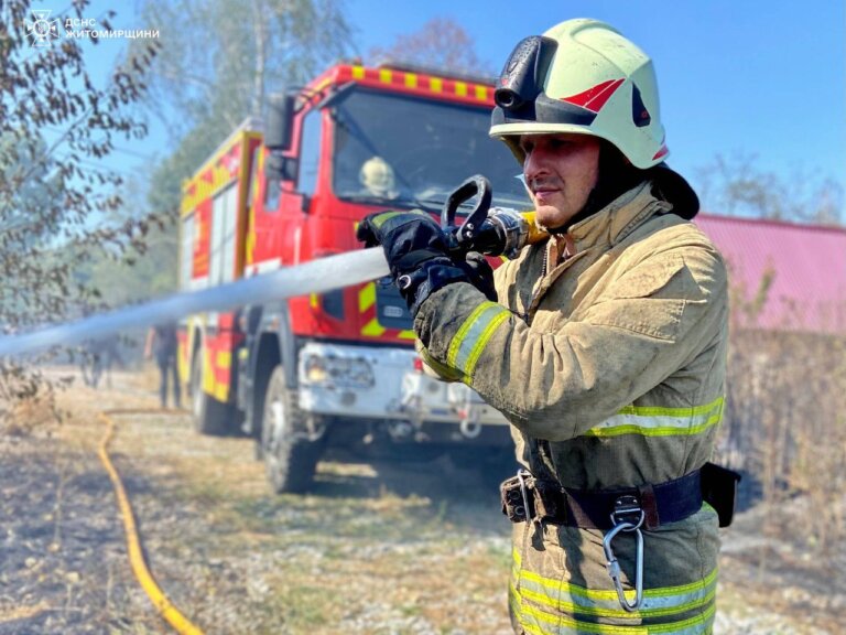 Через загоряння сухої трави згоріло дві господарських будівлі
