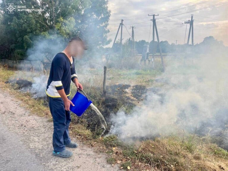 Ще двох паліїв було виявлено в ході профілактичних рейдів