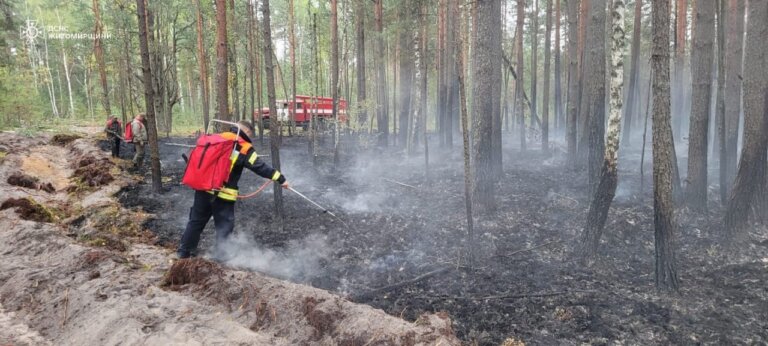 Учора гасили пожежу на території Перганського відділення Поліського природного заповідника