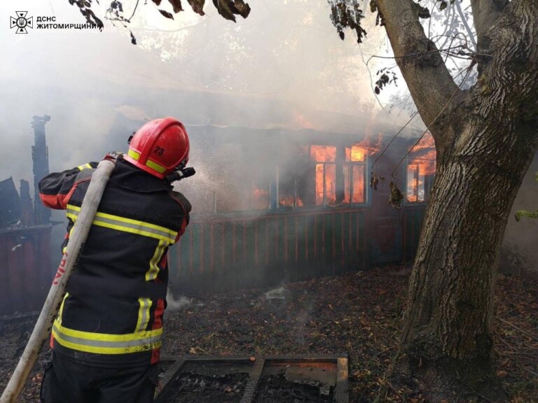 Рятувальники ліквідували пожежу у приватному господарстві