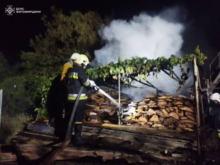 Рятувальники ліквідували пожежу у приватному господарстві