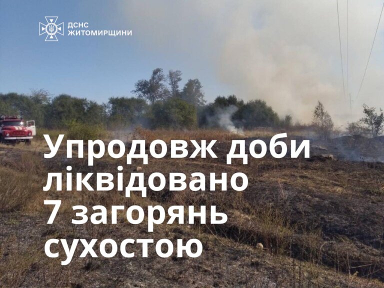 Упродовж минулої доби на території регіону виникло 7 пожеж сухої трави