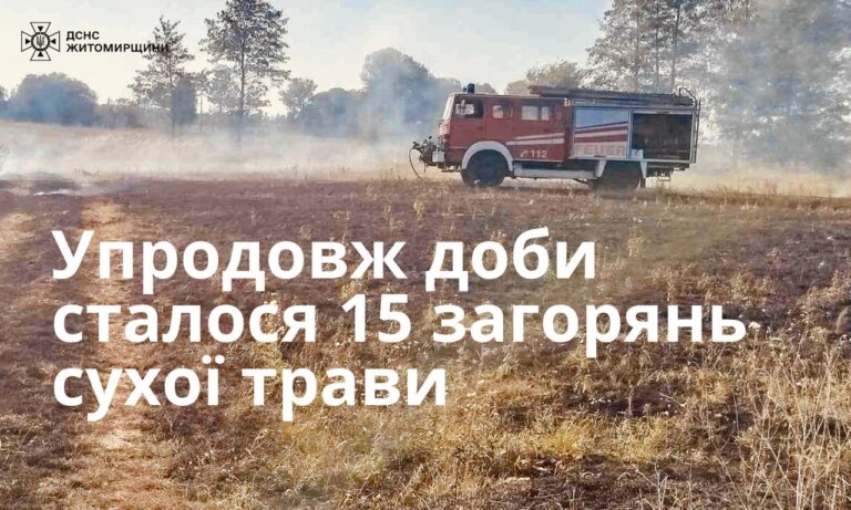 Упродовж минулої доби на території регіону виникло 15 пожеж сухої трави