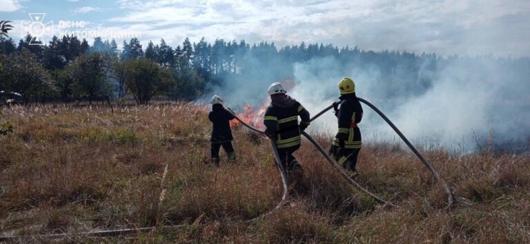 Упродовж минулої доби на території області ліквідовано 31 загоряння