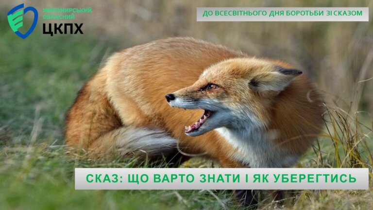 Сказ: що варто знати і як уберегтись