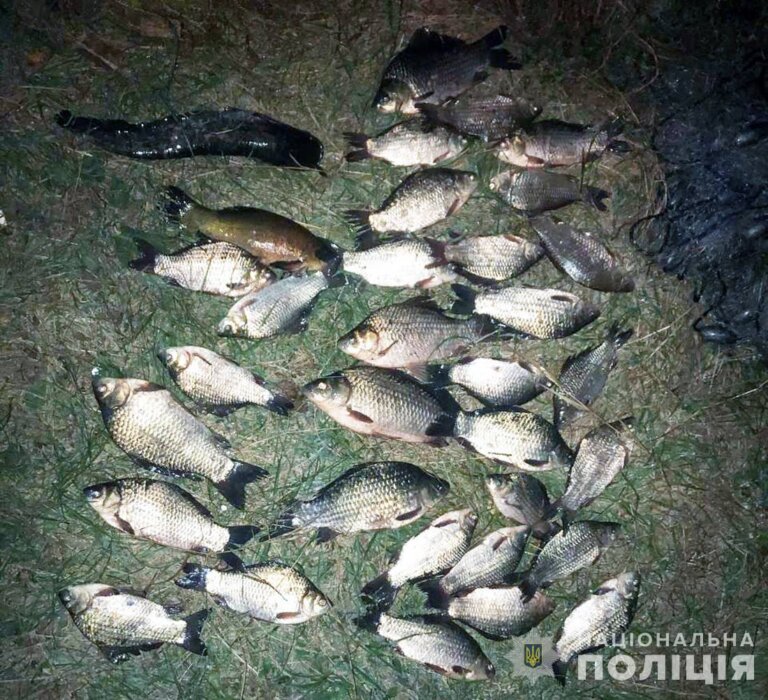 Звягельські поліцейські завершили розслідування незаконного вилову риби