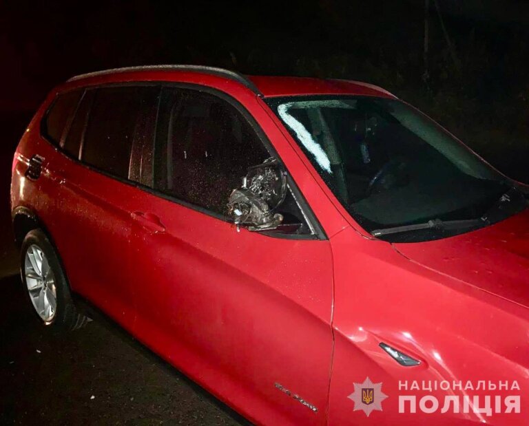 У передмісті Житомира під колеса автомобіля потрапила пенсіонерка: поліція розслідує обставини
