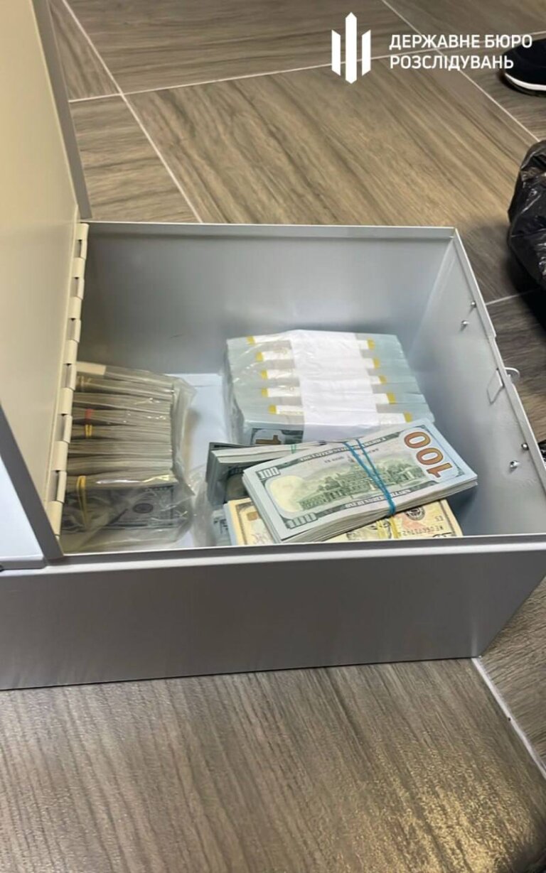 Корупційний скандал: ДБР виявило у простої депутатки Хмельницької міськради незадекларованих $1,5 мільйона