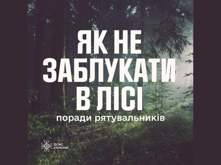Як не заблукати у лісі