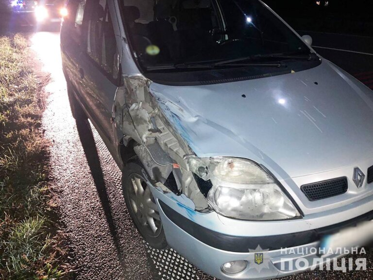 У Житомирському районі в ДТП травмовано двох пішоходів, один з них загинув: поліція проводить розслідування